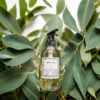 Eucalyptus Body Oil